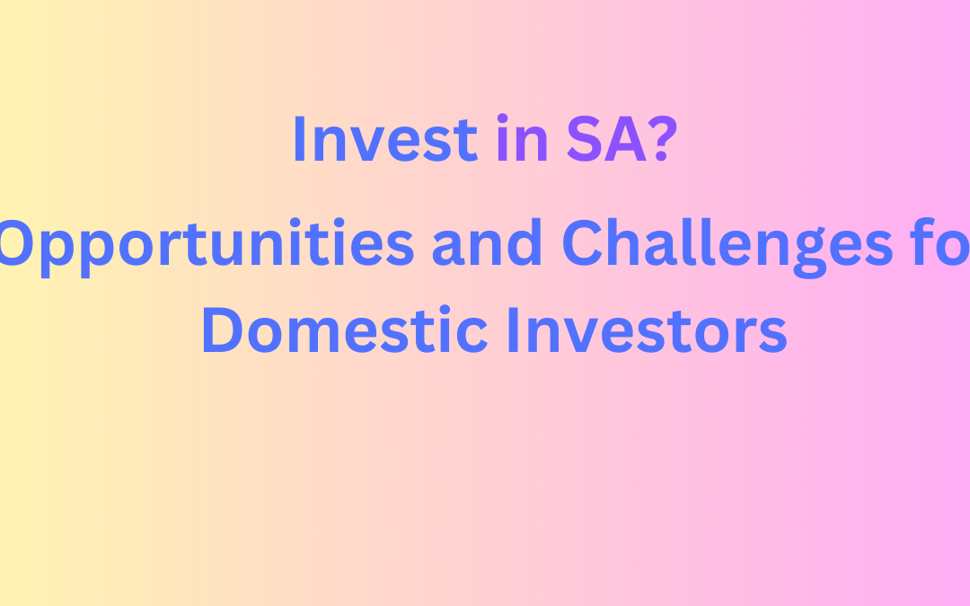 Invest in SA? Opportunities and Challenges for Domestic Investors