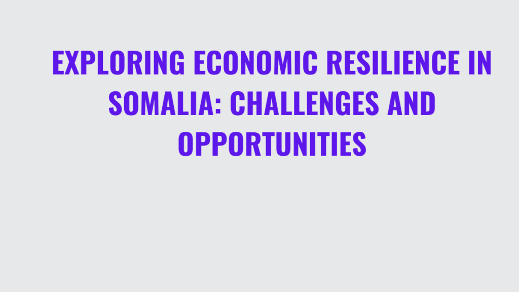 Exploring Economic Resilience in Somalia: Challenges and Opportunities