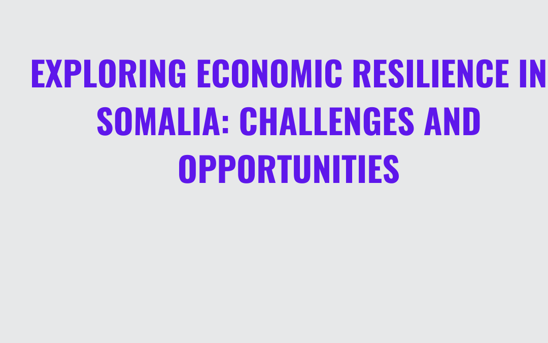 Exploring Economic Resilience in Somalia Challenges and Opportunities